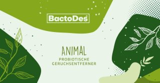 BactoDes Animal