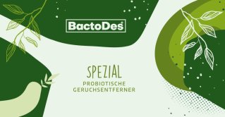 BactoDes Spezial
