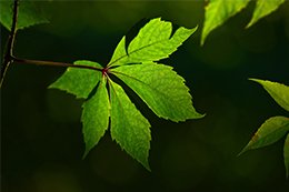 Gerueche neutralisieren