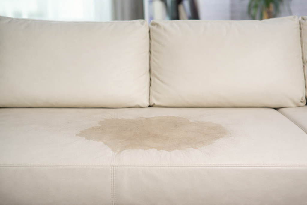 Frischer noch nasser Katzenurin auf dem Sofa