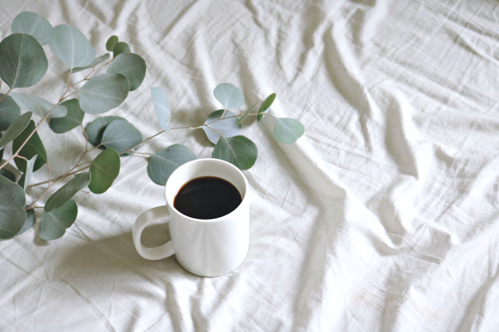 Kaffee auf dem Bett mit Grünpflanze