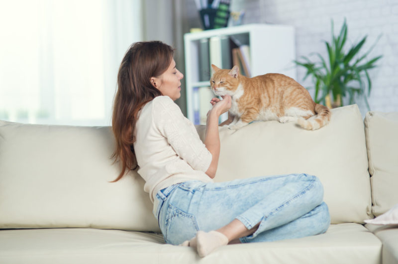 Eine Frau und ihre Katze sitzen auf der Couch