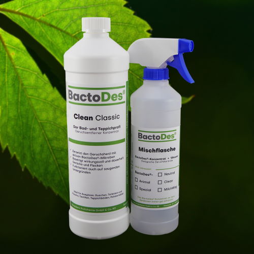 Katzenurin entfernen BactoDes Clean