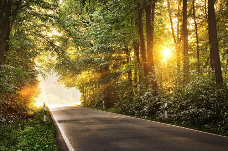 Schöne Straße im Wald mit Sonnenstrahlen