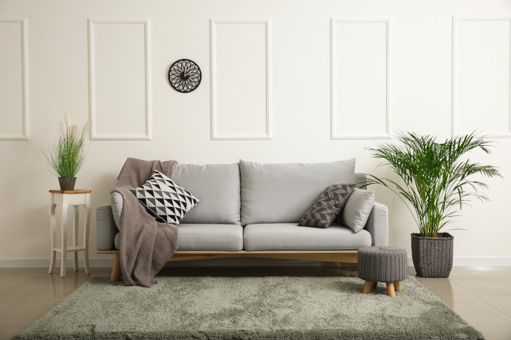 Ein graues Sofa davor liegt ein grauer Teppich umringt von Zimmerpflanzen