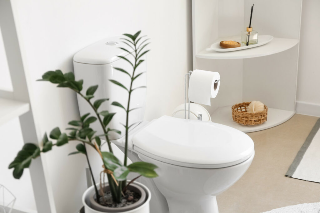 Zimmerpflanze neben einer sauberen Toilette