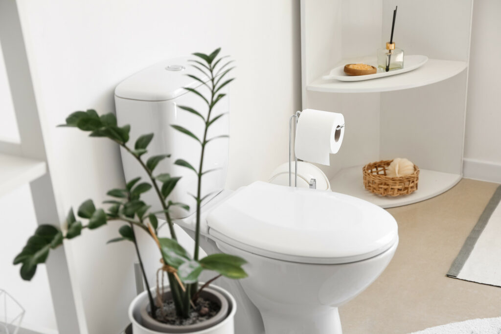 Zimmerpflanze neben einer sauberen Toilette