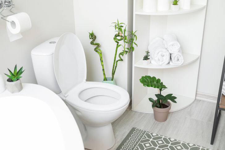 weißes WC mit Zimmerpflanzen