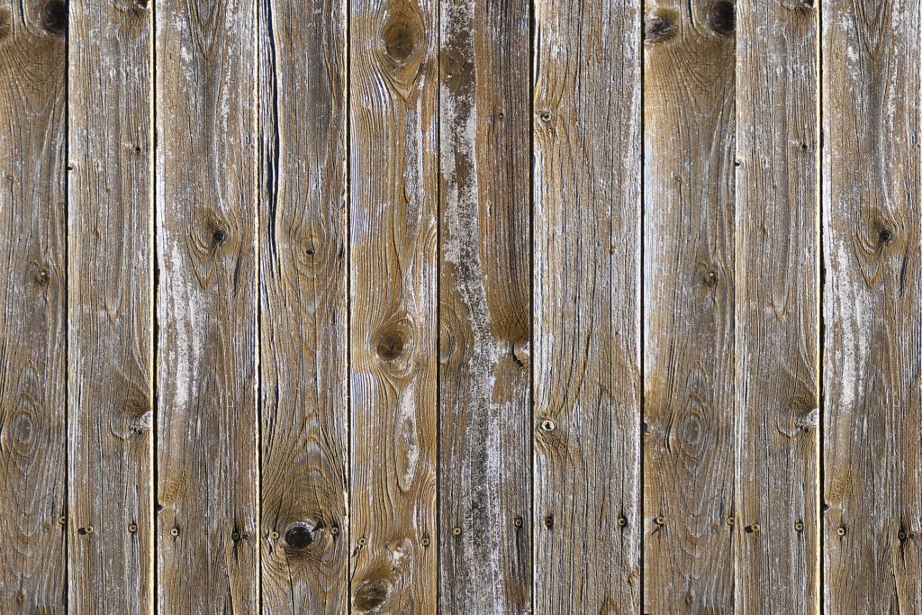 Holzwand frei von Moos und Grünbelag