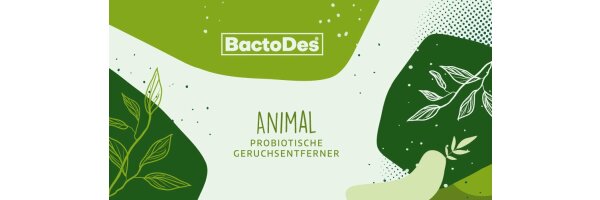 BactoDes Animal