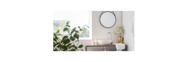BactoDes Clean SanitärRein