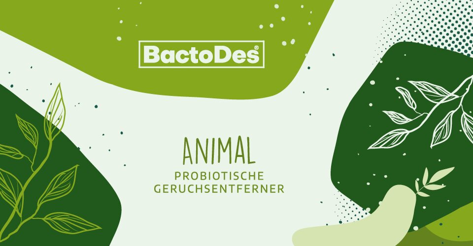 Grüner Banner mit dem BactoDes Animal  Probiotische...