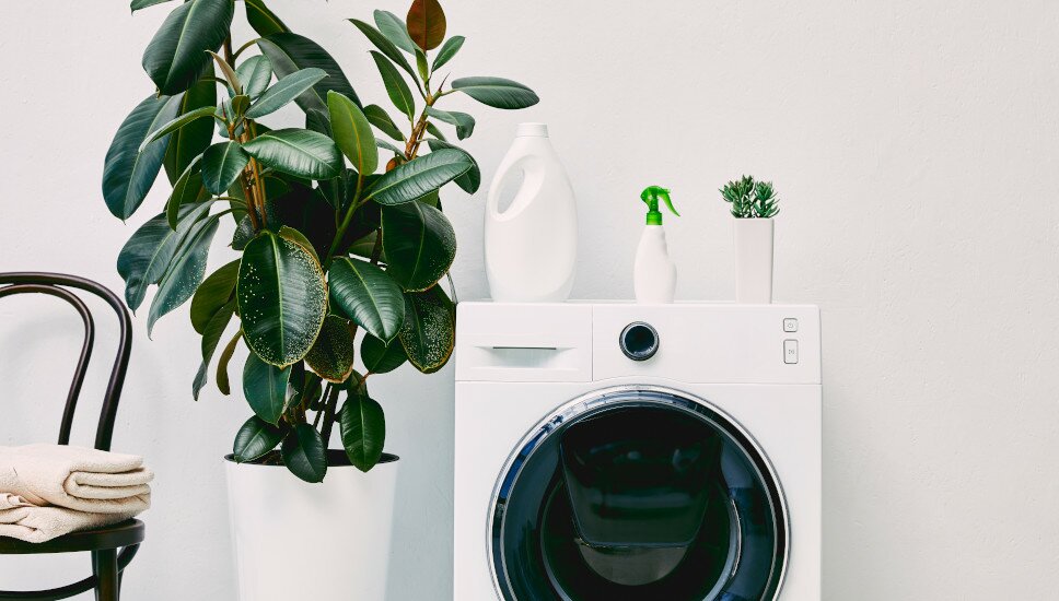 altmodische Waschmaschine neben einer Grünpflanze