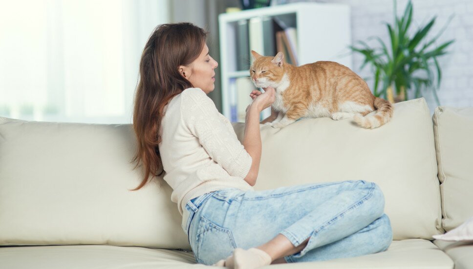 Eine Frau liegt mit ihrer Katze auf dem Sofa.