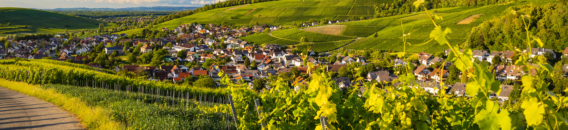 Weinberge und Ortschaft in Baden-Württemberg