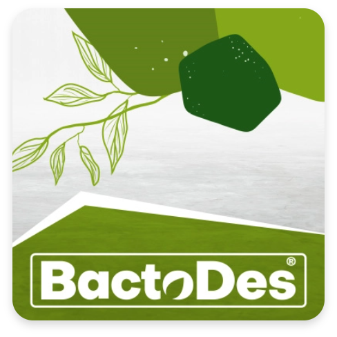 BactoDes Logo in grün