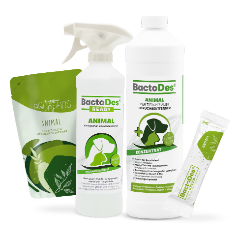 BactoDes Animal Produktfamilie