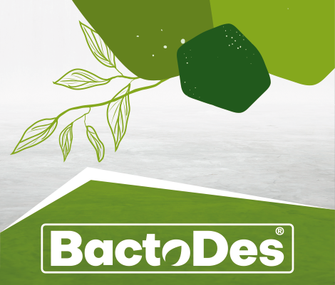 BactoDes Logo in grün