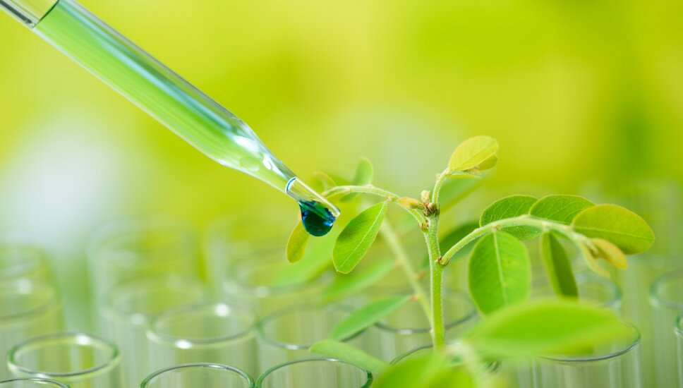 Pipette mit grüner Flüßigkeit wird in ein Reagenzglas gefüllt.