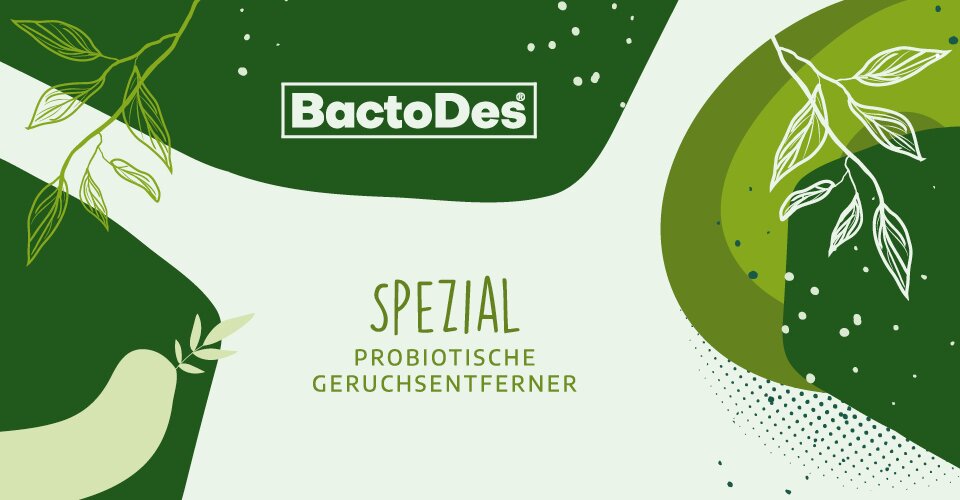 Grüner Banner mit dem BactoDes Spezial  Probiotische...