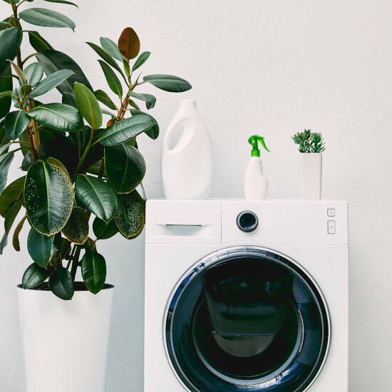 altmodische Waschmaschine und eine Grünpflanze daneben