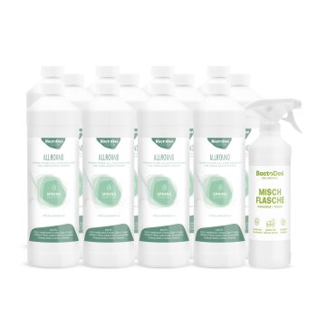 BactoDes® Clean Allround - Spring 12x1 Liter Karton...