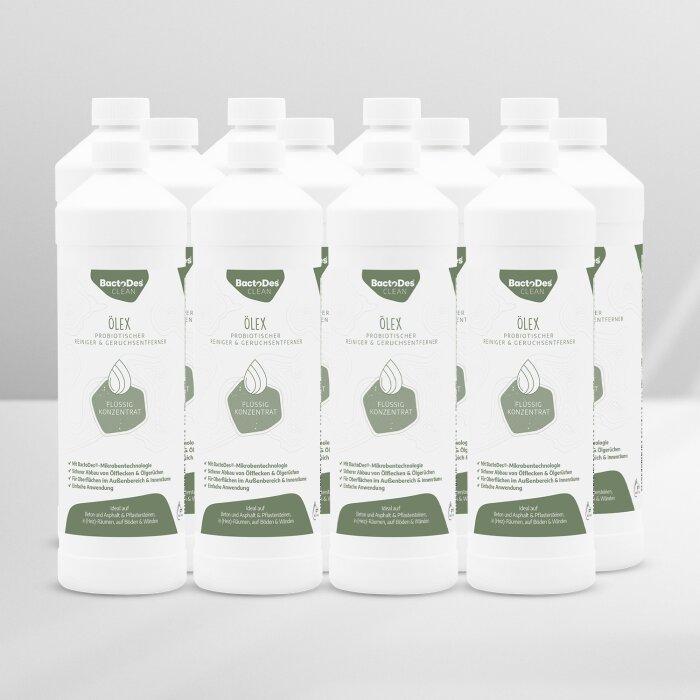 BactoDes Clean Ölex - Geruchsentferner von Heizölgeruch und Ölfleckenentferner 12 x 1 Liter Karton